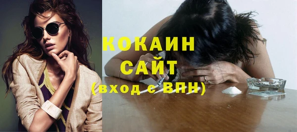 амф Грязовец