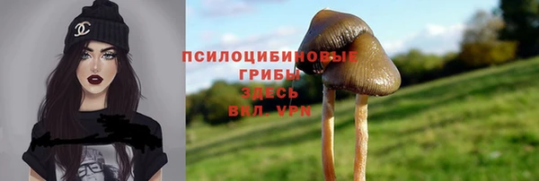 бутират Белокуриха