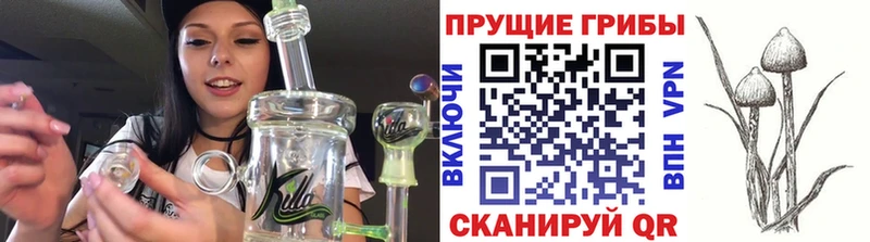 сайты даркнета Telegram  Волчанск  Псилоцибиновые грибы GOLDEN TEACHER 